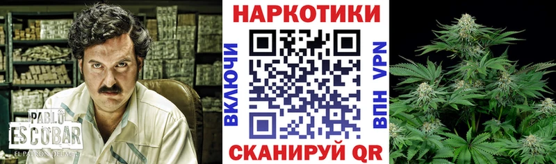 Магазины продажи наркотиков Щёкино Каннабис  Меф мяу мяу  Alpha-PVP  ГАШИШ 