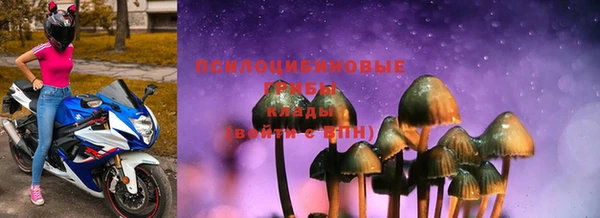 дурь Ладушкин