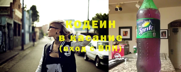 крисы Лагань
