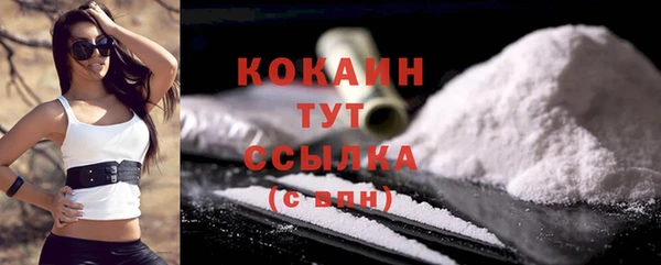 крисы Лагань