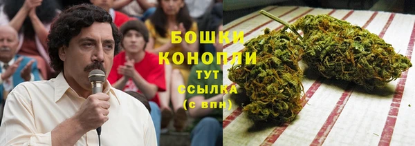 крисы Лагань