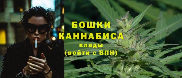 дурь Ладушкин