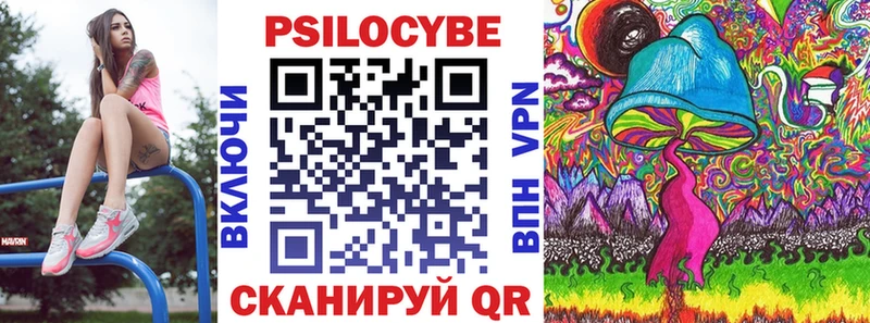 Галлюциногенные грибы Psilocybine cubensis как найти закладки Щёкино